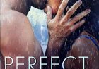 [PDF] Perfect Strangers by J.T. Geissinger Free Download