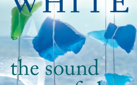 [PDF] The Sound of Glass by Karen White Free Download