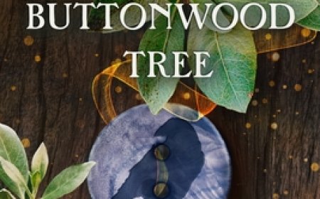 [PDF] South of the Buttonwood Tree by Heather Webber Free Download