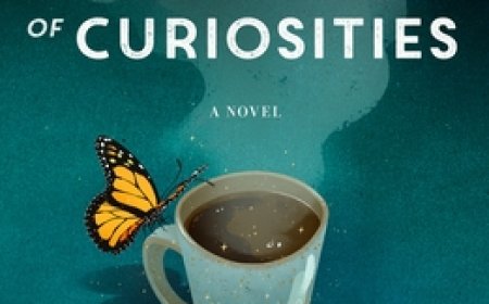 [PDF] At the Coffee Shop of Curiosities by Heather Webber Free Download