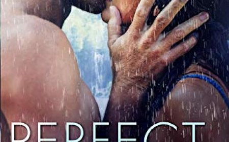 [PDF] Perfect Strangers by J.T. Geissinger Free Download