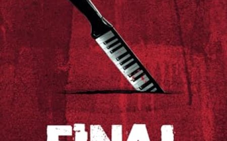 [PDF] IKK Crime Series #3 Final Kill by S.T. Ashman Free Download