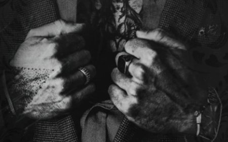 [PDF] Queens & Monsters #3 Savage Hearts by J.T. Geissinger Free Download