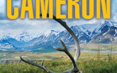 [PDF] Arliss Cutter #1 Open Carry by Marc Cameron Free Download