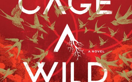 [PDF] Divided Fates #1 To Cage a Wild Bird by Brooke Fast Free Download