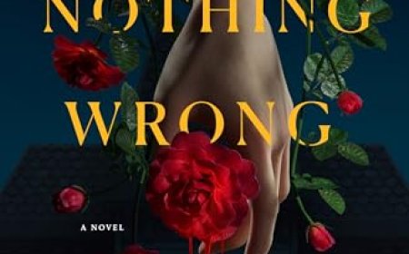 [PDF] You Did Nothing Wrong by C.G. Drews Free Download