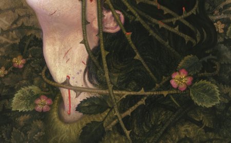 [PDF] Hazelthorn by C.G. Drews Free Download