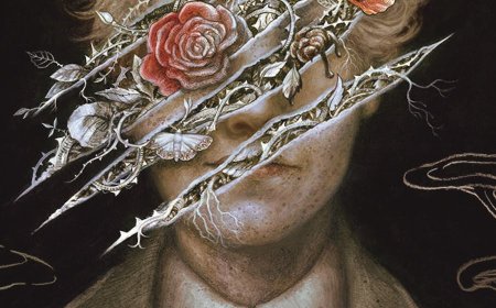 [PDF] Don't Let the Forest In by C.G. Drews Free Download