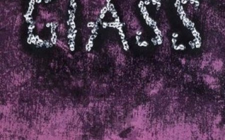 [PDF] Crank #2 Glass by Ellen Hopkins Free Download