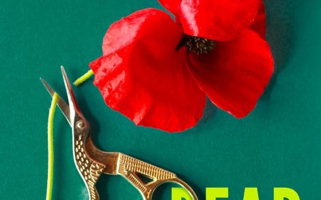 [PDF] Dear Debbie by Freida McFadden Free Download