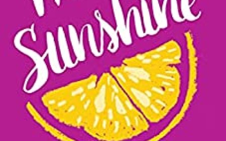 [PDF] Hello, Sunshine by Laura Dave Free Download