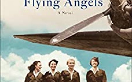 [PDF] Flying Angels by Danielle Steel Free Download