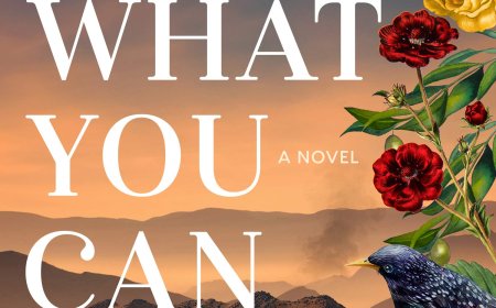 [PDF] Take What You Can Carry by Gian Sardar Free Download