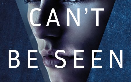 [PDF] Dr. Gretchen White #2 What Can't Be Seen by Brianna Labuskes