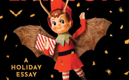 [PDF] I Choose Darkness by Jenny Lawson Free Download