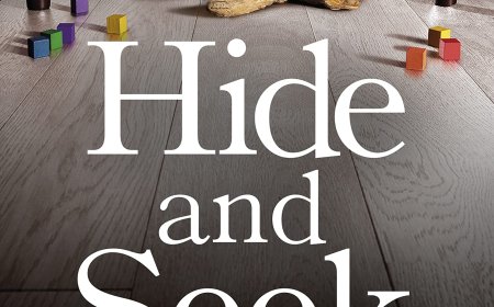 [PDF] Hide and Seek by Andrea Mara Free Download
