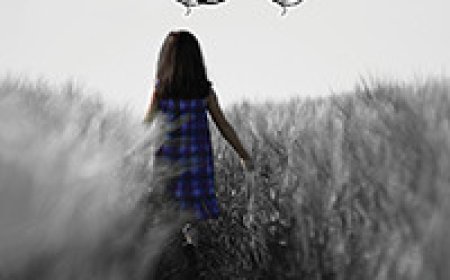 [PDF] Regret #1 Take This Regret by Amy Lichtenhan , A.L. Jackson