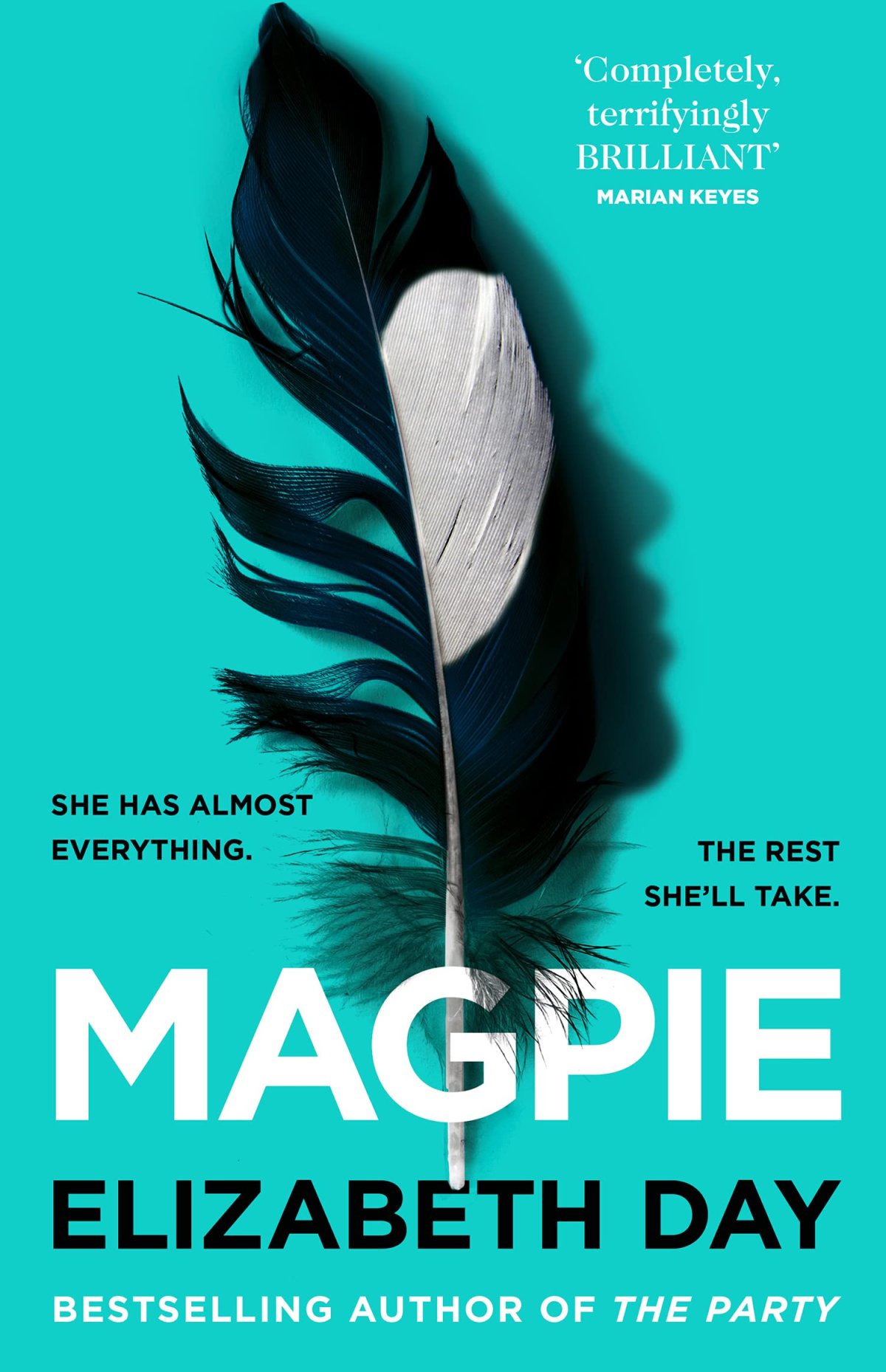 Free Download Magpie by Elizabeth Day PDF