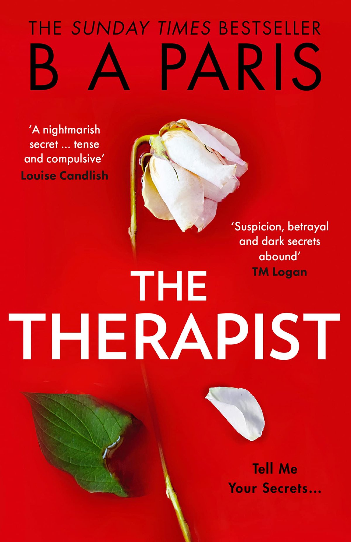 Free Download The Therapist by B.A. Paris PDF