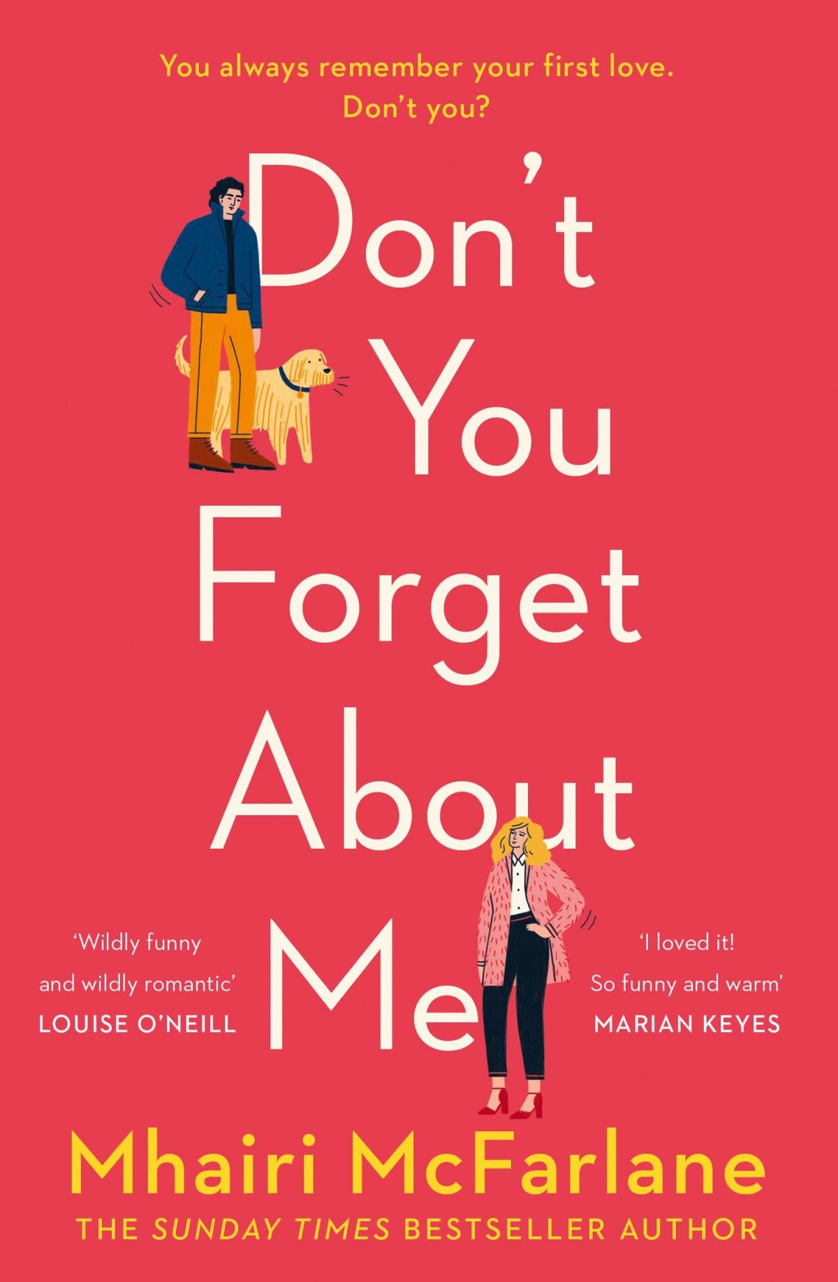 Free Download Don't You Forget About Me by Mhairi McFarlane PDF