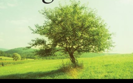 Free Download Life Together by Dietrich Bonhoeffer PDF