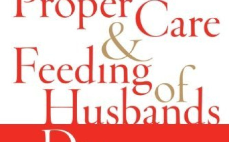 Free Download The Proper Care and Feeding of Husbands by Laura Schlessinger PDF