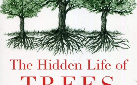 Free Download The Mysteries of Nature #1 The Hidden Life of Trees by Peter Wohlleben PDF