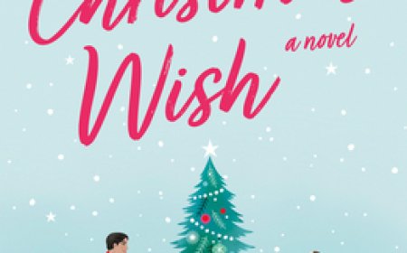 Free Download The Christmas Wish by Lindsey Kelk PDF