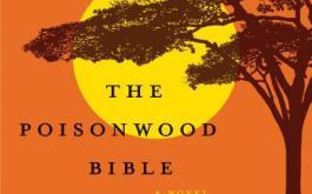 Free Download The Poisonwood Bible by Barbara Kingsolver PDF