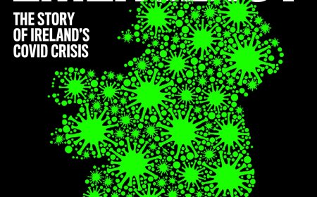 Free Download A State of Emergency by Richard Chambers PDF