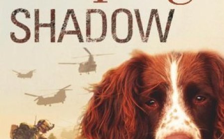 Free Download Shadow by Michael Morpurgo PDF