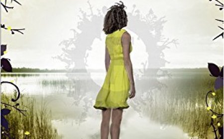 Free Download Flawed #2 Perfect by Cecelia Ahern PDF