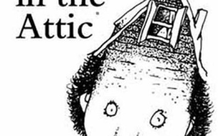 Free Downloaad A Light in the Attic by Shel Silverstein PDF