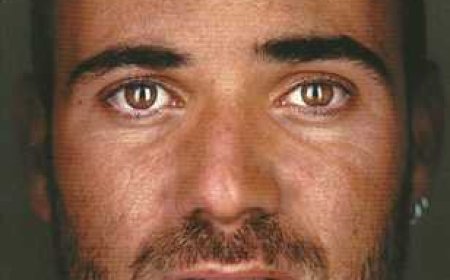 Free Download Open: An Autobiography by Andre Agassi PDF