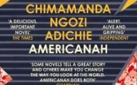 Free Download Americanah by Chimamanda Ngozi Adichie PDF