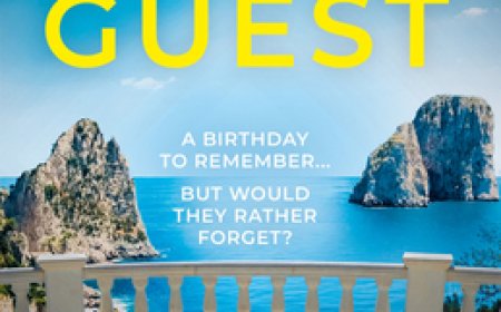 Free Download The Party Guest by Amanda Robson PDF