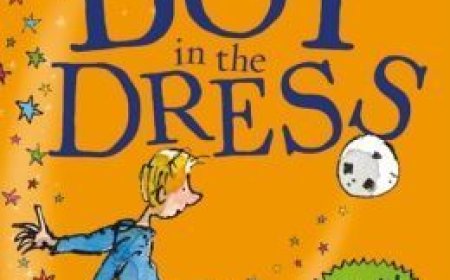 Free Download The Boy in the Dress by David Walliams PDF