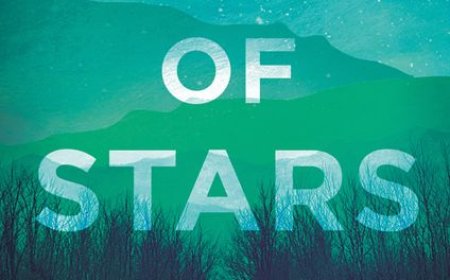 Free Download Raft of Stars by Andrew J. Graff PDF