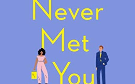 Free Download If I Never Met You by McFarlane Mhairi PDF