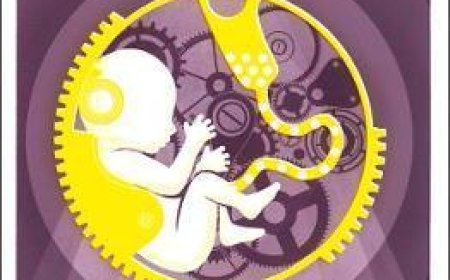 Free Download Robot #2 The Naked Sun by Isaac Asimov PDF