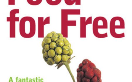 Free Download Food for Free by Richard Mabey PDF