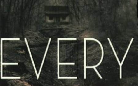 Free Download Every Secret Thing by Laura Lippman PDF