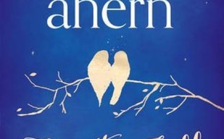 Free Download How to Fall in Love by Cecelia Ahern PDF