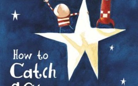 Free Download The Boy #1 How to Catch a Star by Oliver Jeffers PDF
