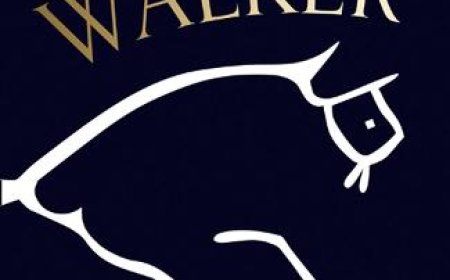 Free Download Treacle Walker by Alan Garner PDF