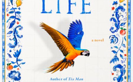 Free Download Still Life by Sarah Winman PDF