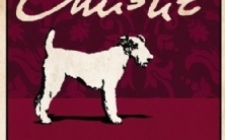 Free Download Hercule Poirot #17 Dumb Witness by Agatha Christie PDF