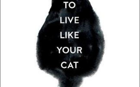 Free Download How to Live Like Your Cat by Stéphane Garnier PDF