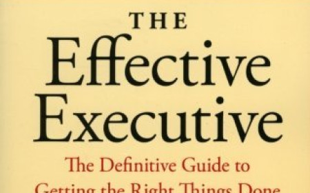 Free Download The Effective Executive by Peter F. Drucker PDF