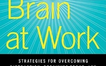 Your Brain at Work by David Rock Free PDF Download